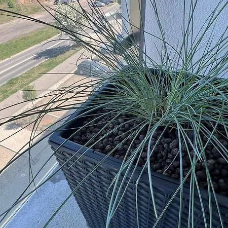 Grunwald - Wieruszowska 2