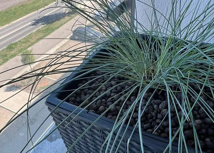 Grunwald - Wieruszowska 2